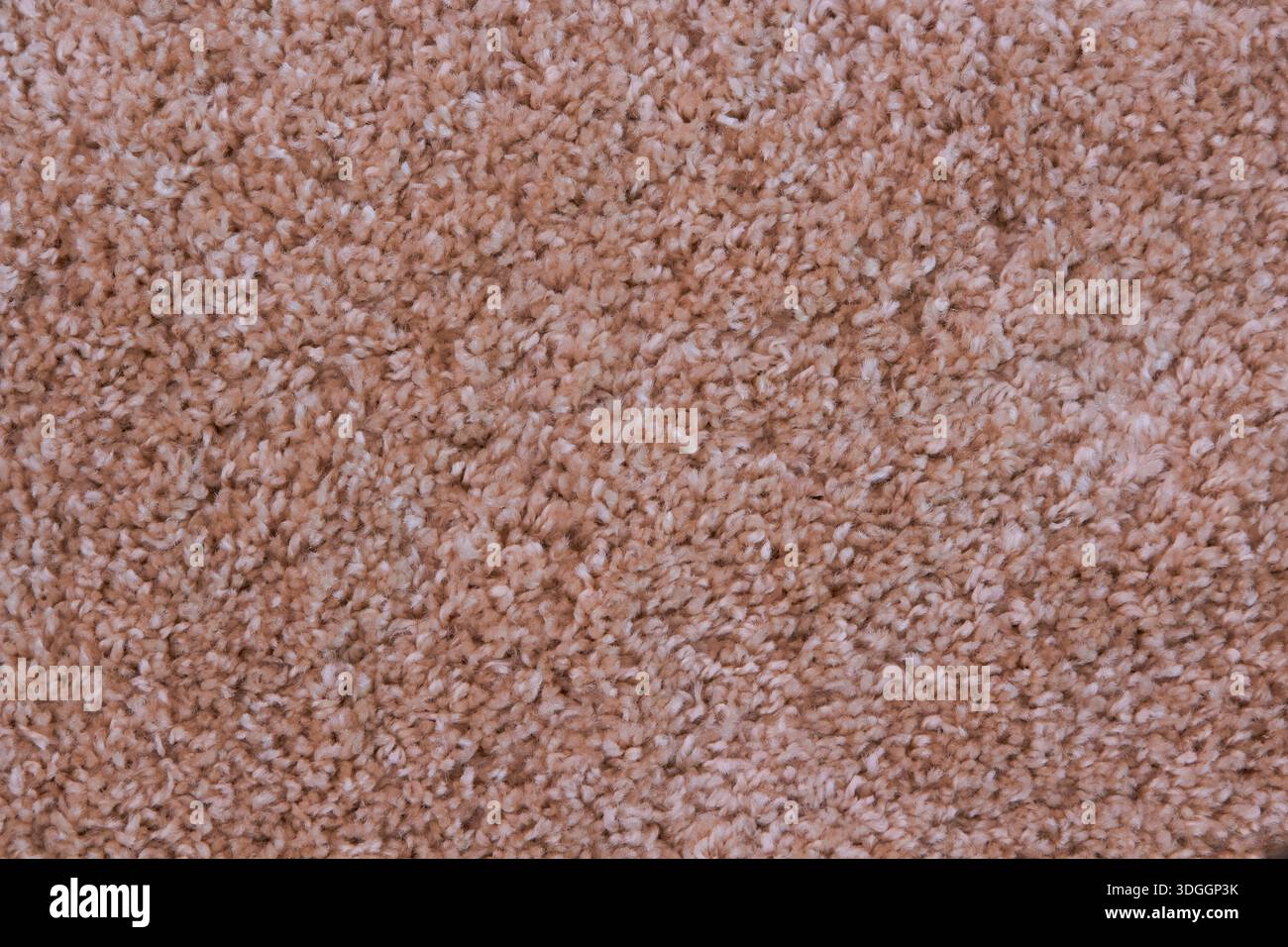 beige carpet for the bedroom Stock Photo