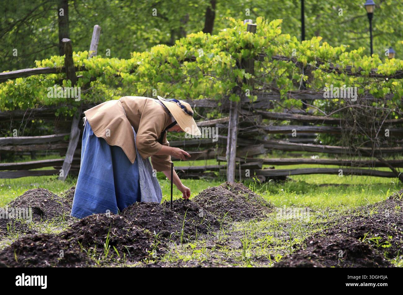 virginia tobacco farmers VA Postcard Cutting Farm Trees Harvesting Vintage Harvesting Tobacco In Early Virginia