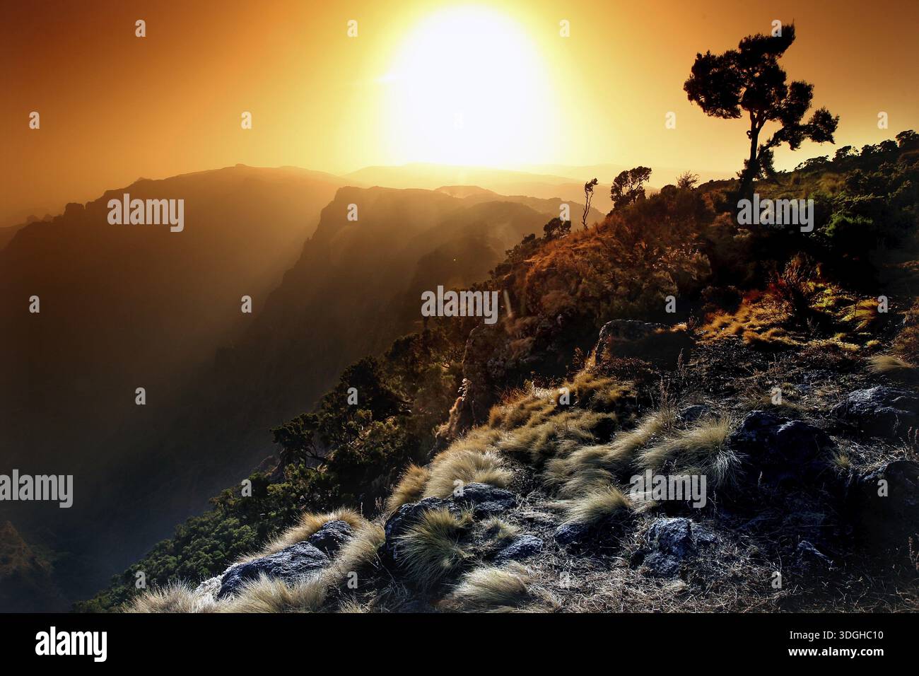 Dramatic sunset over a mountain landscape with tree, zero Stock Photo