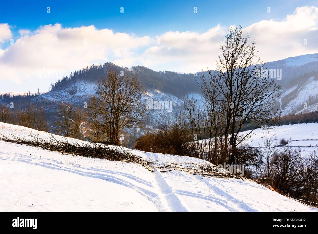 winter landscape with snow covered forested hills. carpathian mountains in cold weather under blue sky. rural scene on a sunny day. background for chr Stock Photo