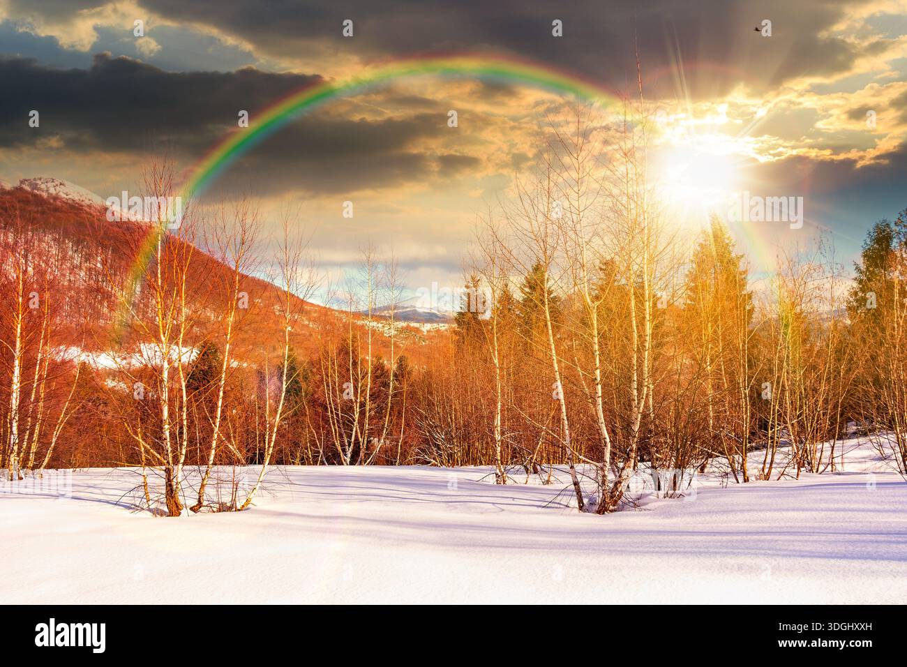 winter landscape at sunset. deciduous forest on snow covered hill in evening light. scenic scenery of natural park under blue sky for travel backgroun Stock Photo