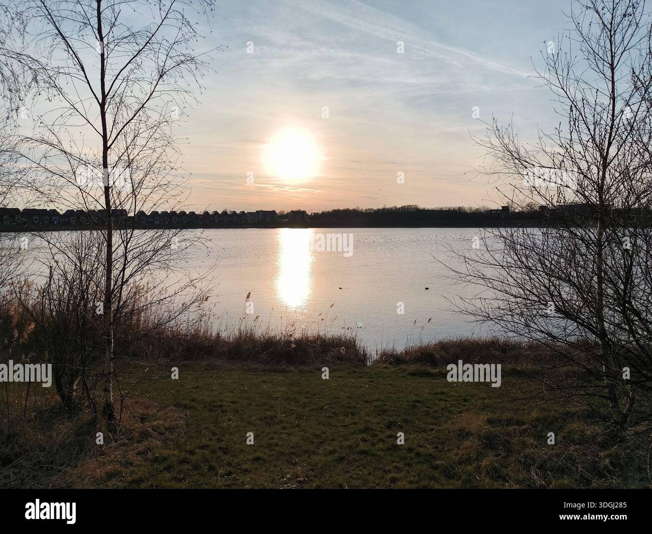 Early sunset across a lake framed by the silhouette of trees, in spring, Peterborough, UK - Smartphone Captured Stock Image