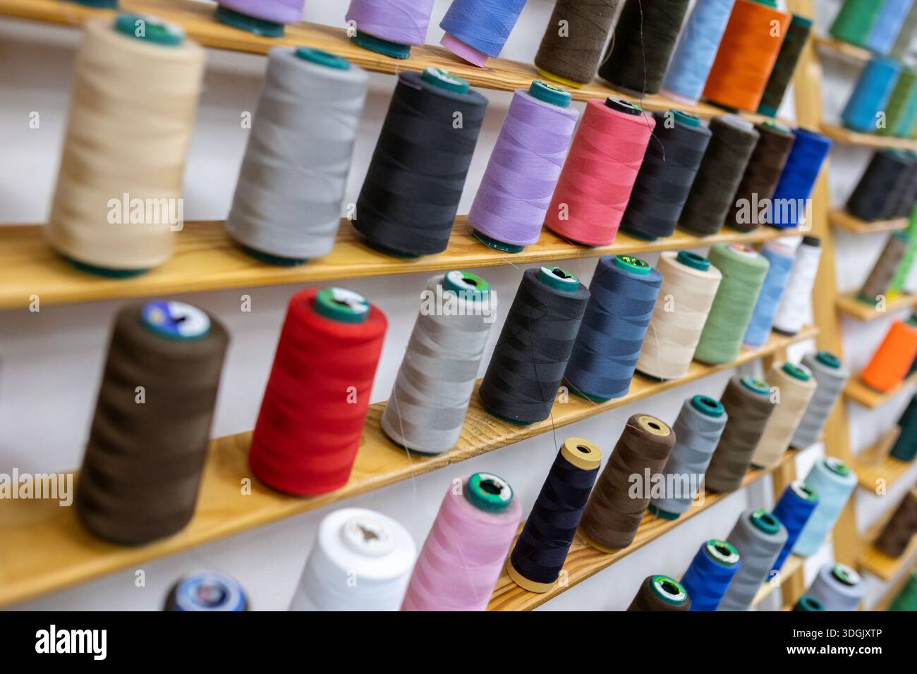 Spools of thread of various colors neatly arranged on wooden shelves, creating a visually appealing display for sewing and tailoring projects or facil Stock Photo