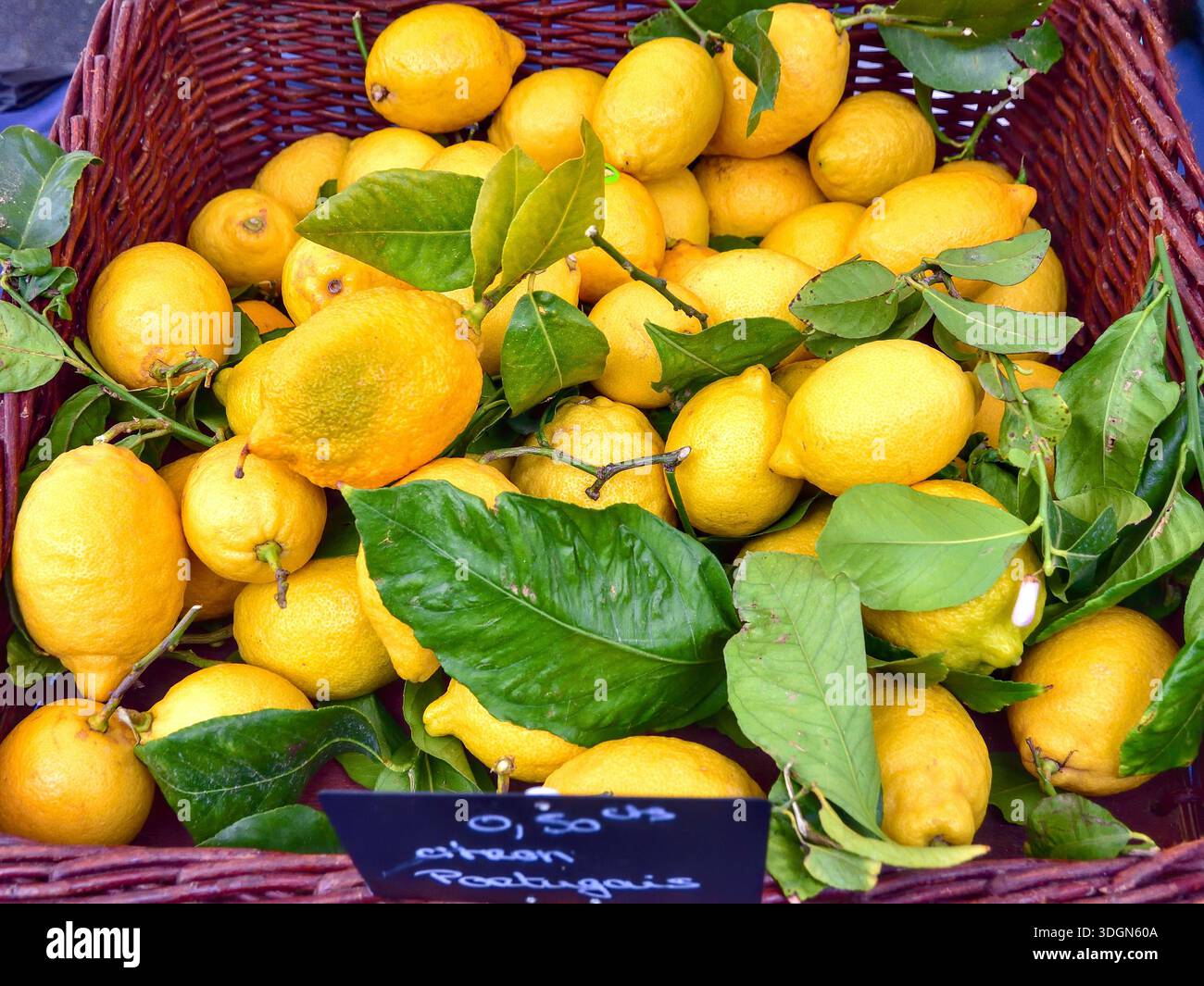 Market stall display of Portuguese lemons - Le Blanc, Indre (37), France. Stock Photo