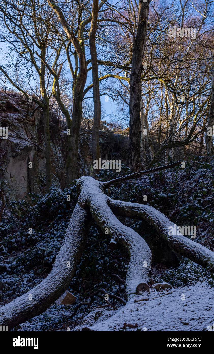 Carver's rocks hi-res stock photography and images - Alamy