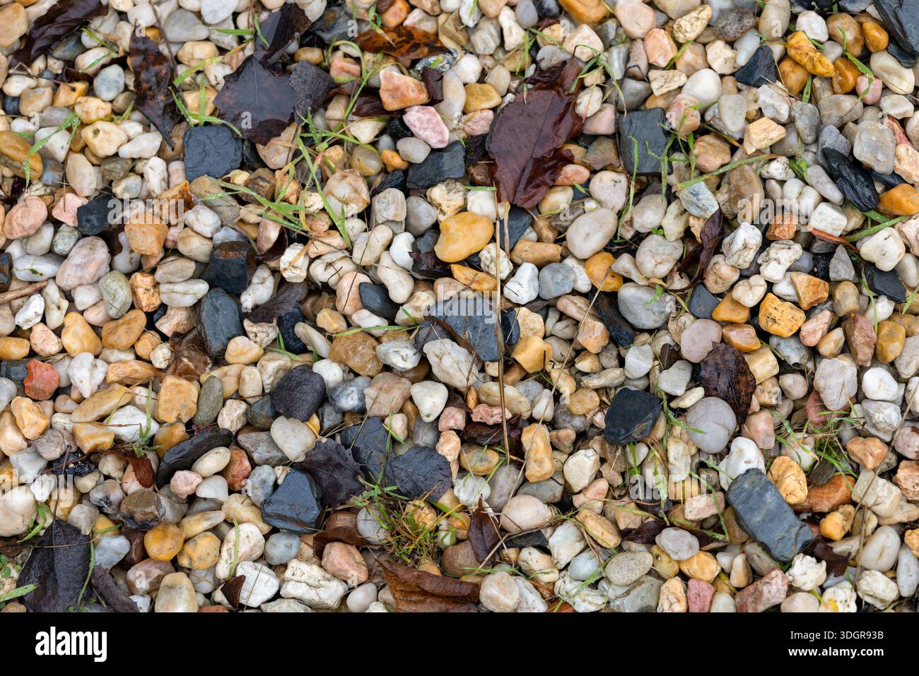 Authentic Pebble Stone Mosaic Background for Design Use. Stock Photo
