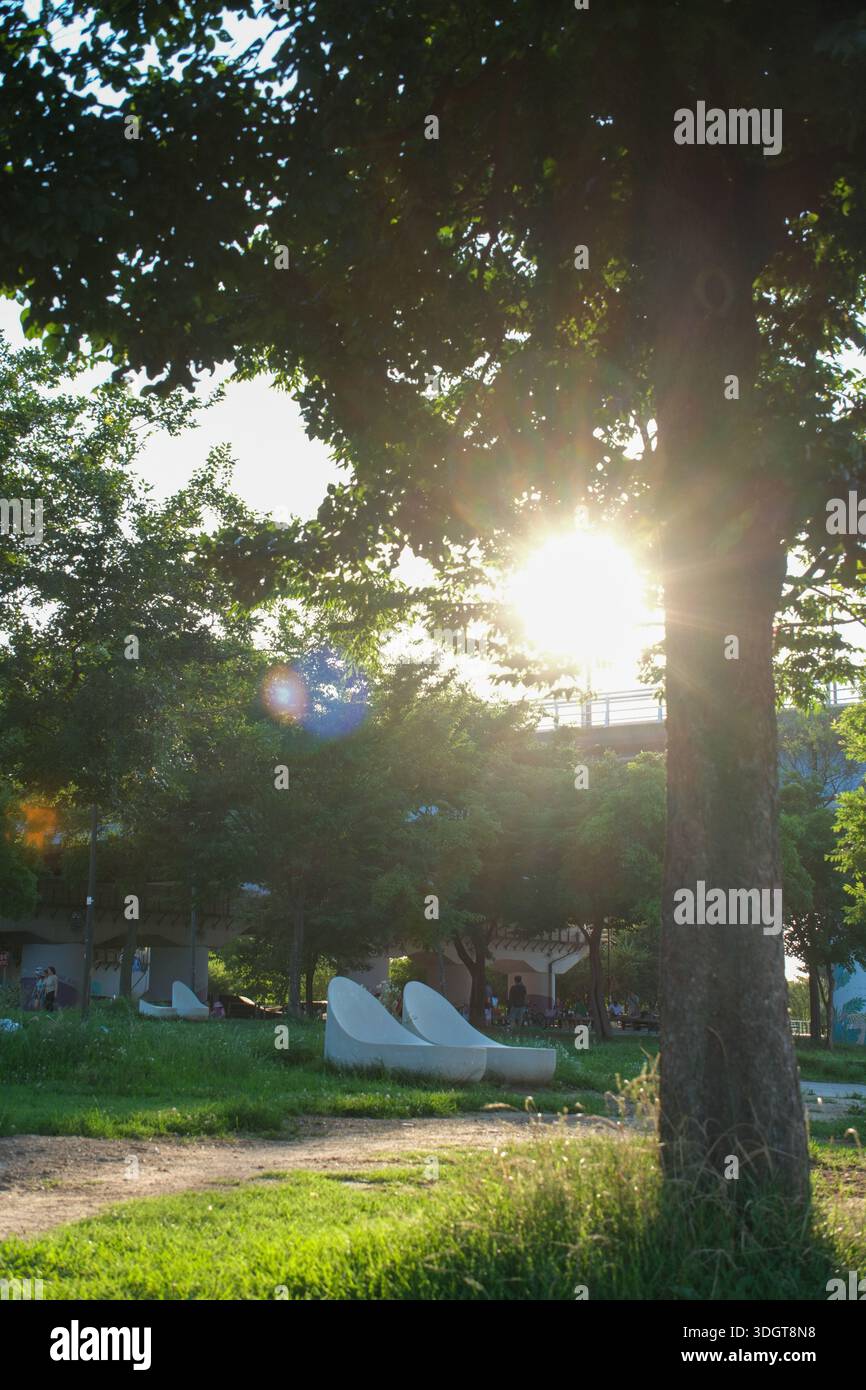 Sunlight filtering through trees in a riverside park along the Han ...