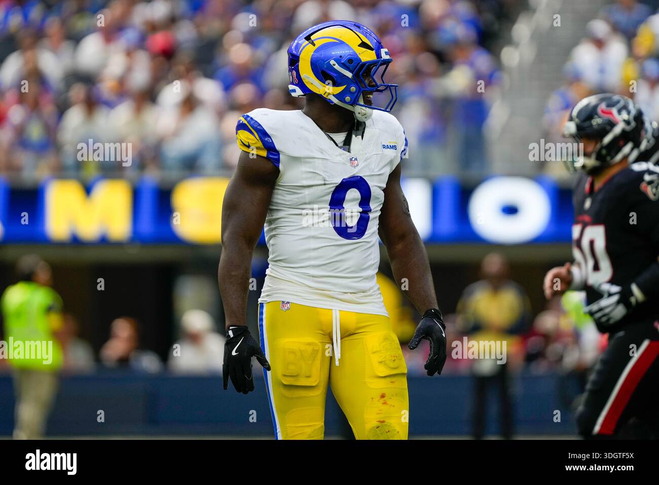 Byron young rams hi-res stock photography and images - Alamy