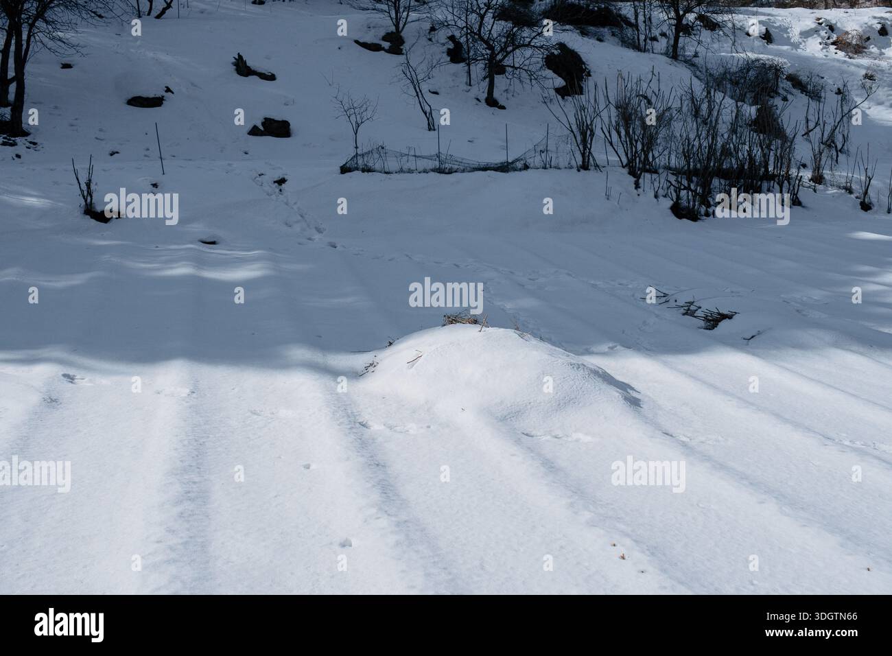 Natural snow surface texture with subtle patterns and soft winter light Stock Photo