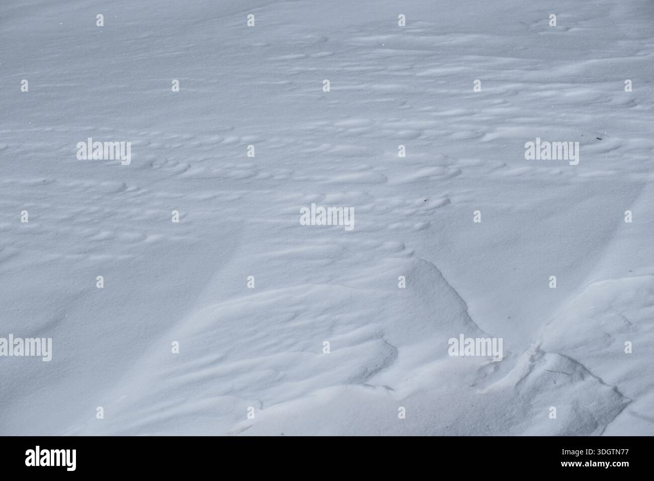 Natural snow surface texture with subtle patterns and soft winter light Stock Photo