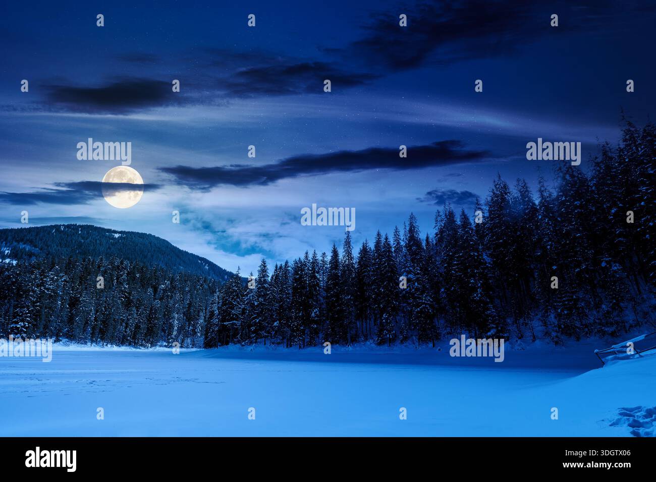 snow covered frozen lake in natural park at night. tranquil winter landscape surrounded with coniferous forest on shore in mountains in full moon ligh Stock Photo