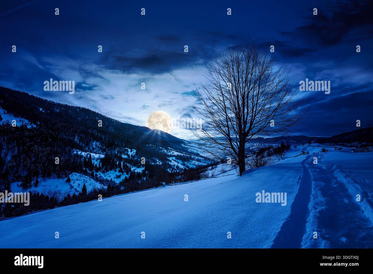 beautiful winter landscape with snow covered hills at night. serene rural scene in mountains in full moon light. rolling countryside area. christmas b Stock Photo