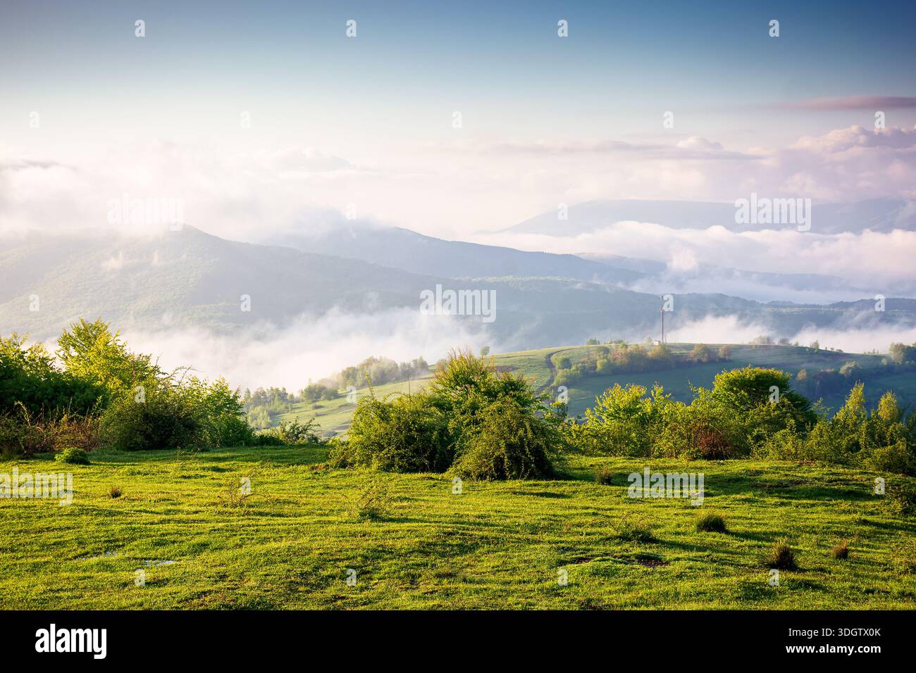 carpathian mountain landscape of ukraine in morning fog. lush green alpine meadows in spring. beautiful view in to the valley. blue sky with clouds on Stock Photo