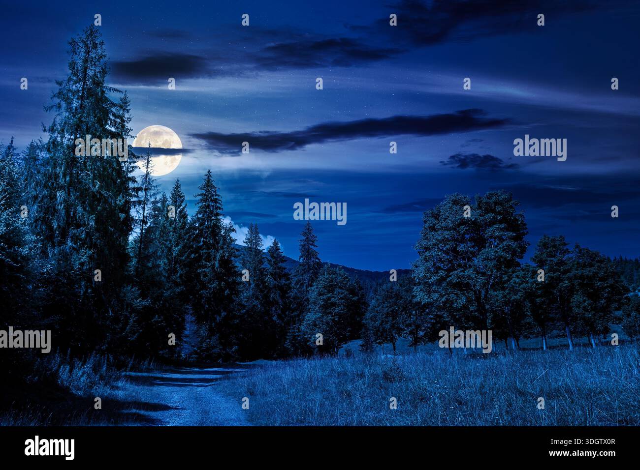 old gravel road through forest at night. beautiful summer landscape in full moon light. cloud above the distant mountains. coniferous trees near path. Stock Photo