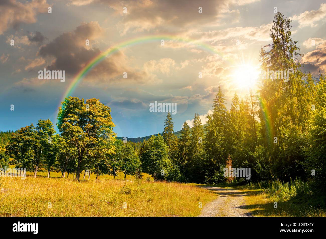old gravel road through forest at sunset. beautiful summer landscape in evening light. cloud above the distant mountains. coniferous trees near path. Stock Photo
