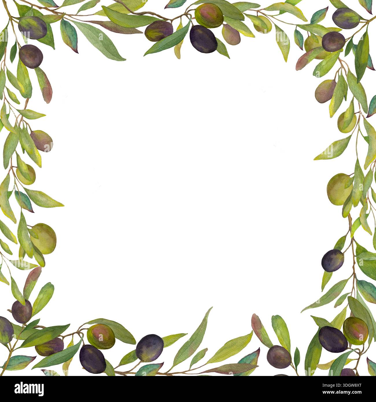 Watercolor square border made of olive branches with green and black ...