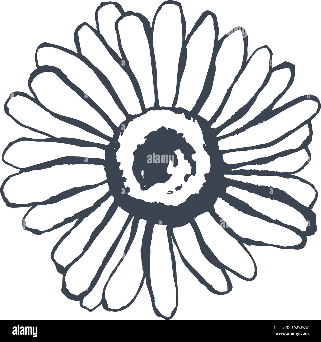 Graphic vector illustration with summer chamomile Stock Vector Image ...