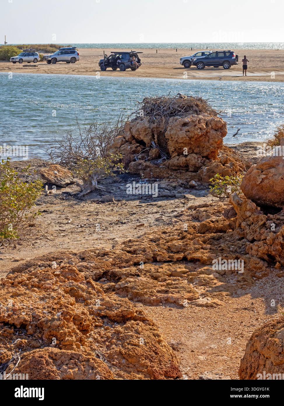 Osprey nest at the mouth of Yardie Creek, with 4WDs parked on the beach behind, Cape Range National Park Stock Photo
