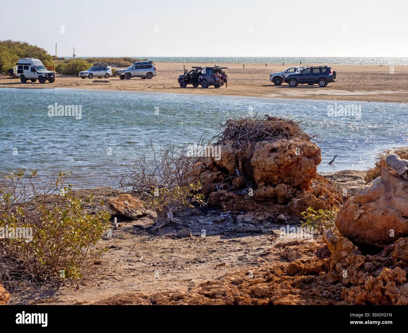 Osprey nest at the mouth of Yardie Creek, with 4WDs parked on the beach behind, Cape Range National Park Stock Photo