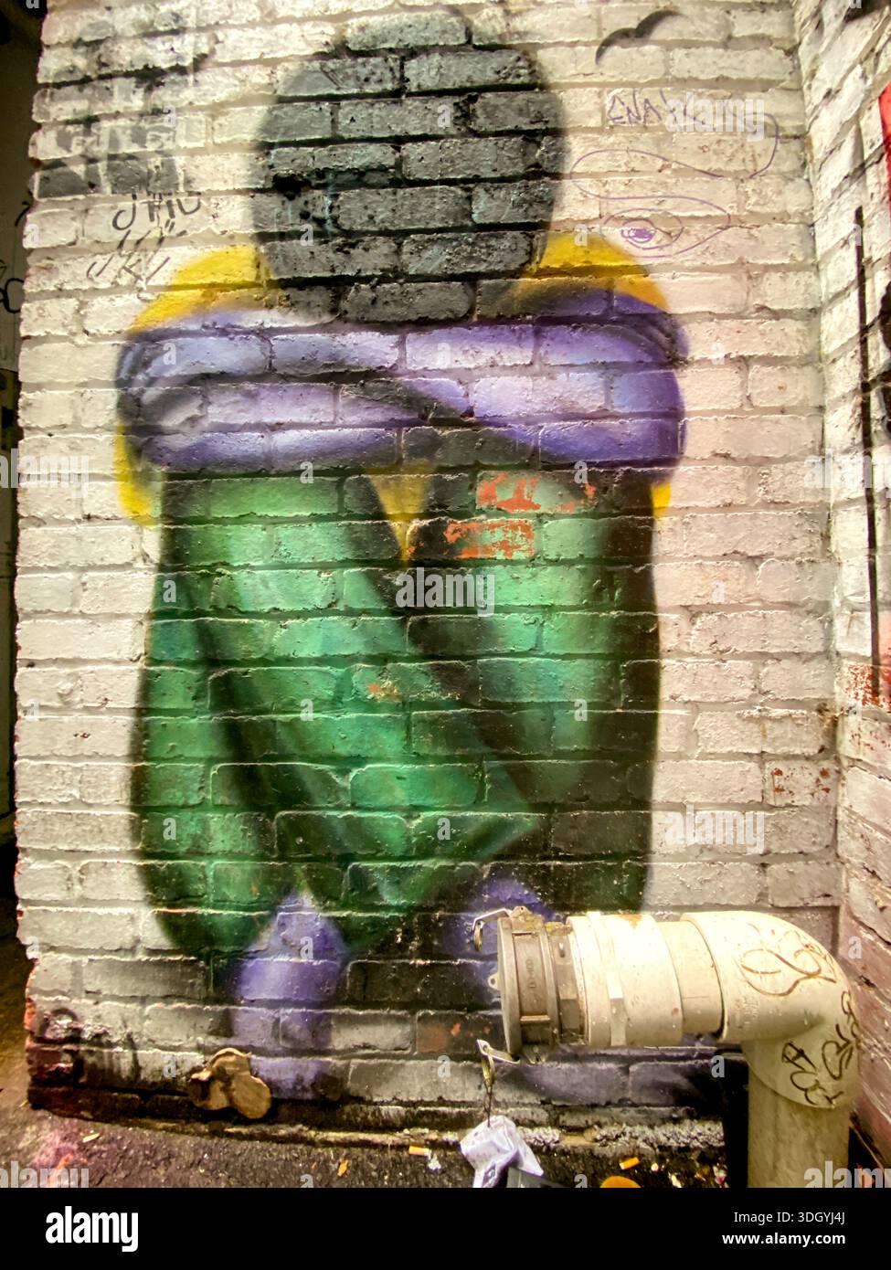 Urban art/graffiti in Melbourne reflecting disparity in social issues - Smartphone Captured Stock Image