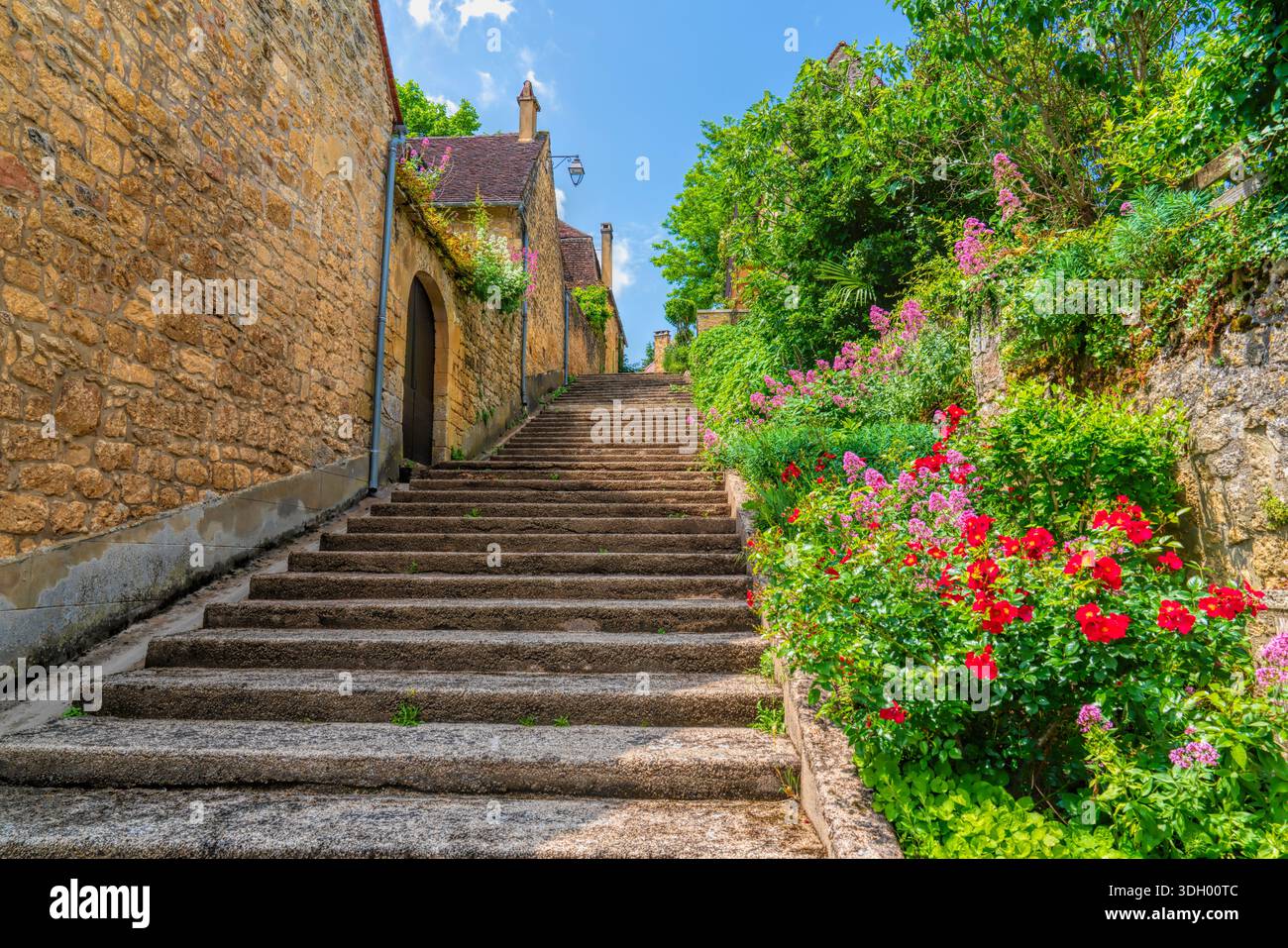 Step Regeon Steps With Colourful Flowers within Historic Domme Village, Dordogne ...