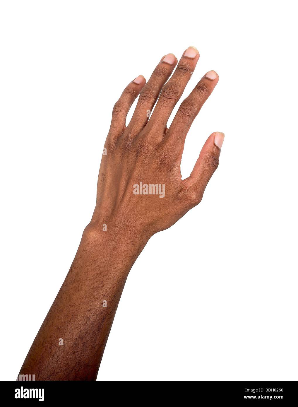 Upward perspective Cut Out Stock Images & Pictures - Alamy
