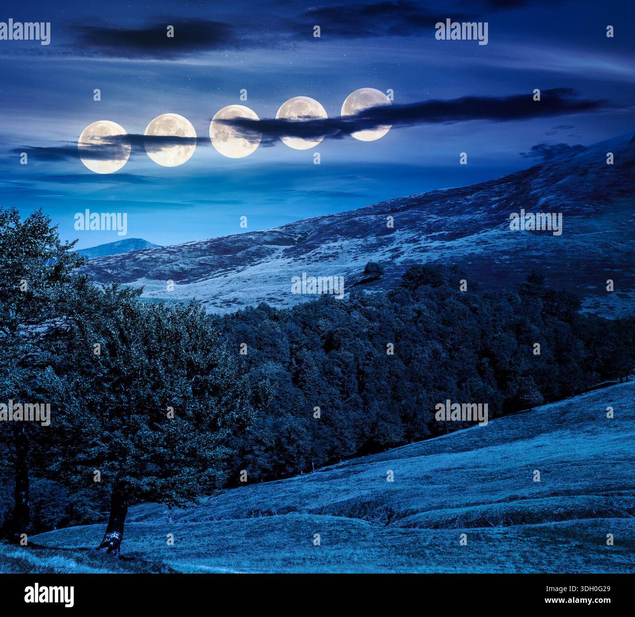 beech forest on the hill in late summer at night. mountains under dark sky clouds in full moon light. beautiful green environment backdrop for fiction Stock Photo