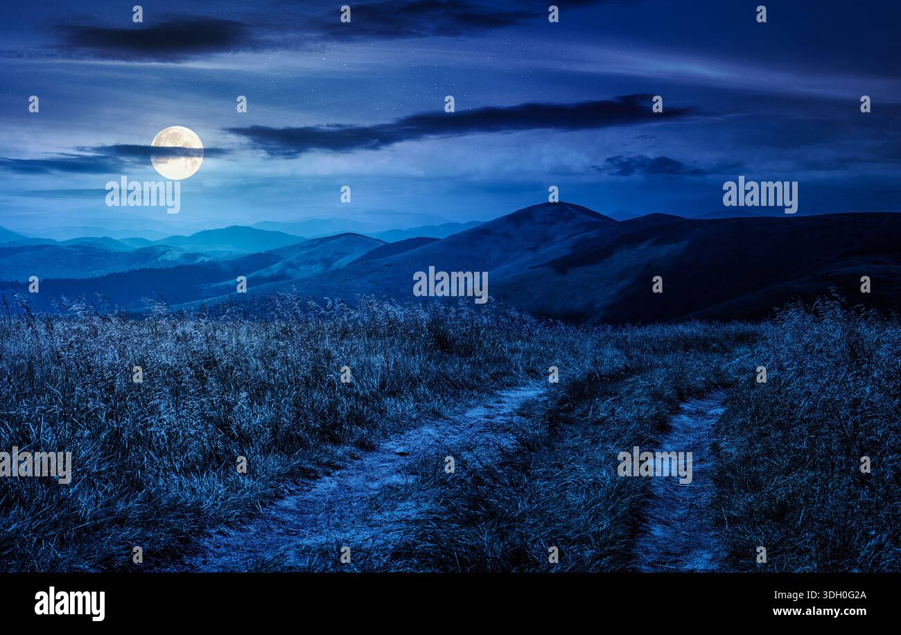 dirt road through grassy alpine meadow on the ridge at night. beautiful summer landscape in green mountains under cloudy sky in full moon light. finan Stock Photo