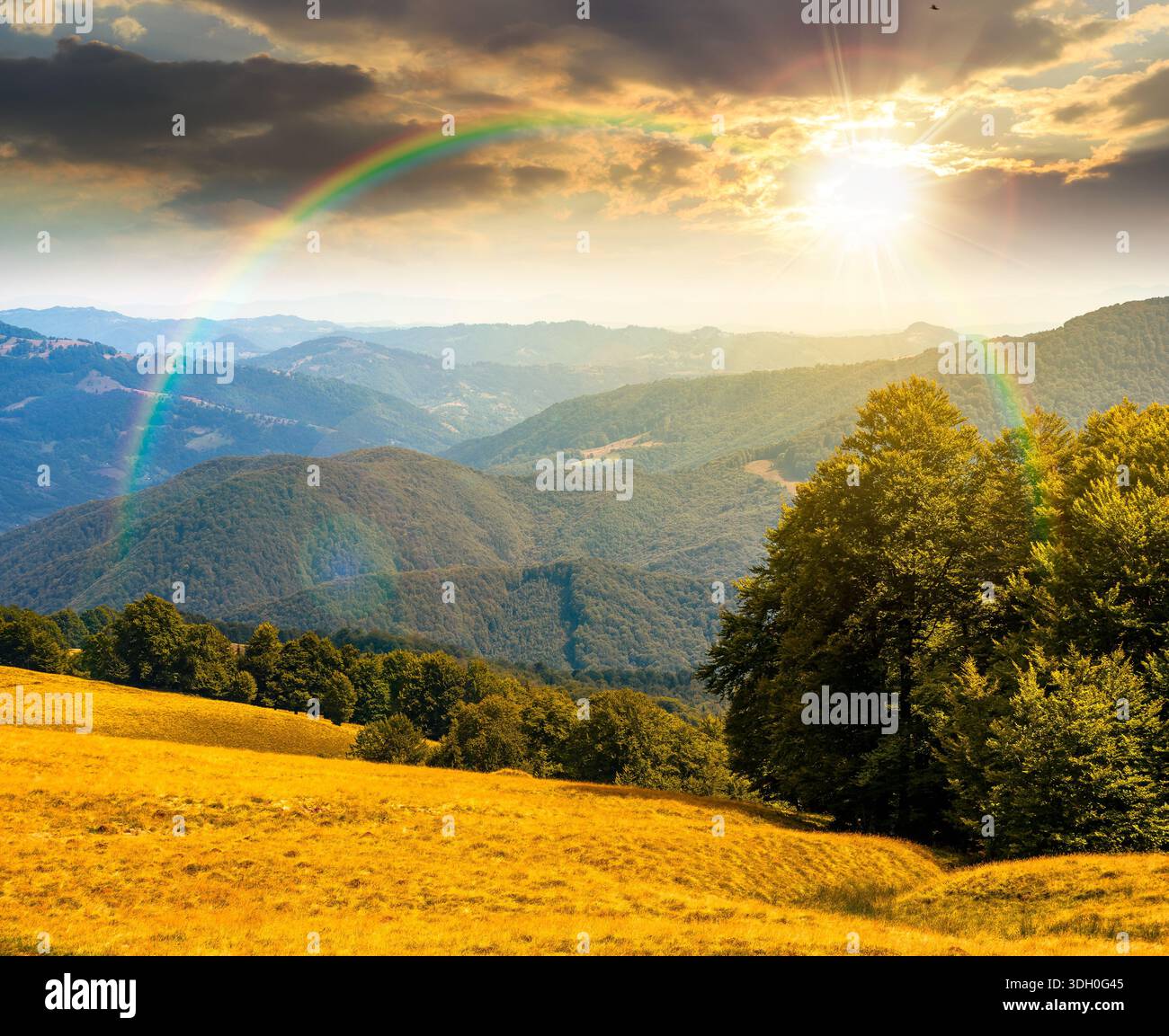 beautiful mountain landscape with beech trees on rolling hills at sunset. wonderful view of alpine countryside scenery in evening light. timeless outd Stock Photo