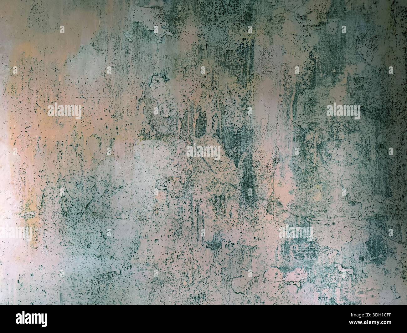 Mold mildew stains on old wall Stock Photo