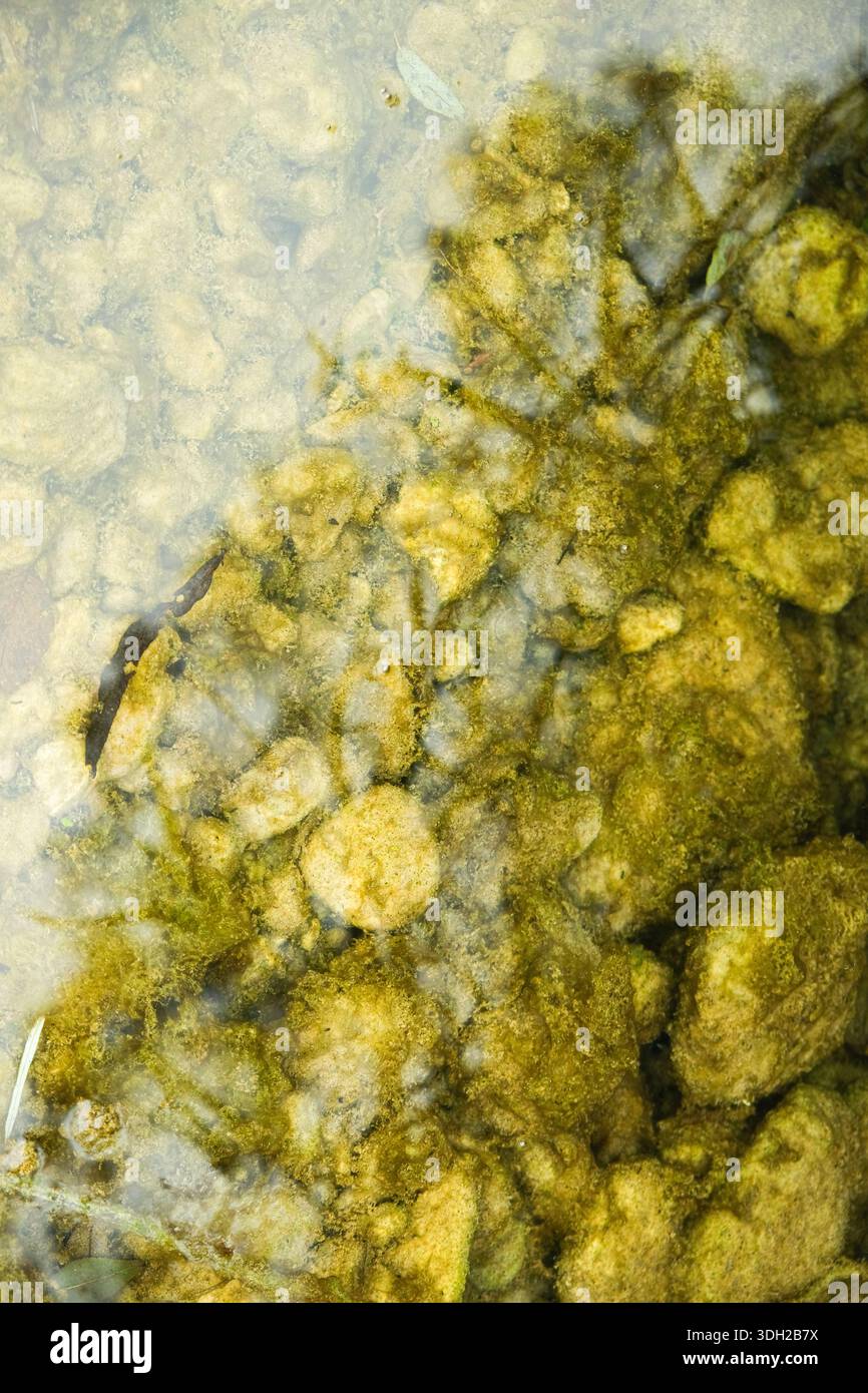 Natural Riverbed Texture with Smooth Pebbles. Stock Photo