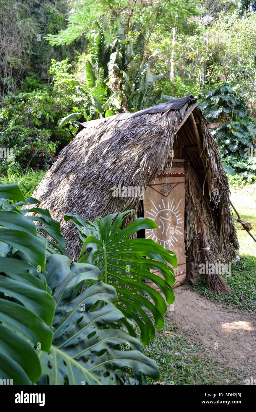A traditional thatched hut surrounded by tropical vegetation in Cuba Stock Photo