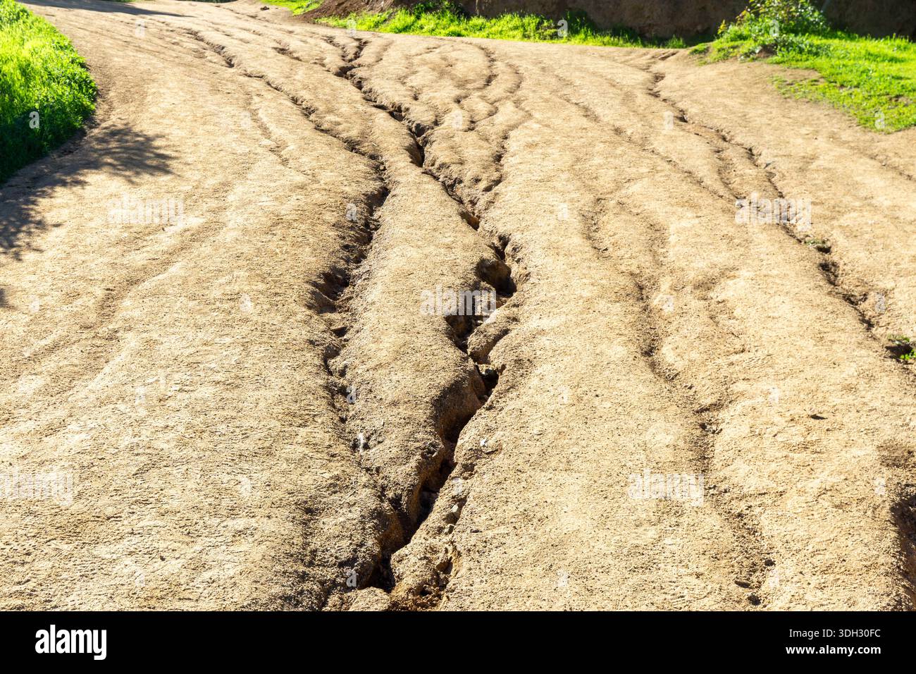 Close-up view of a dry, eroded dirt road with deep cracks and ruts ...