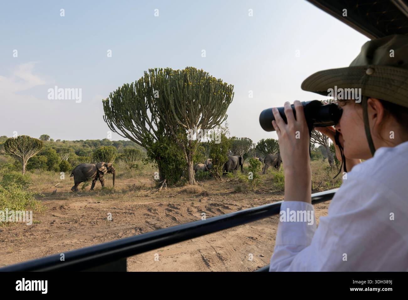 Safari vehicle in antelopes hi-res stock photography and images - Alamy