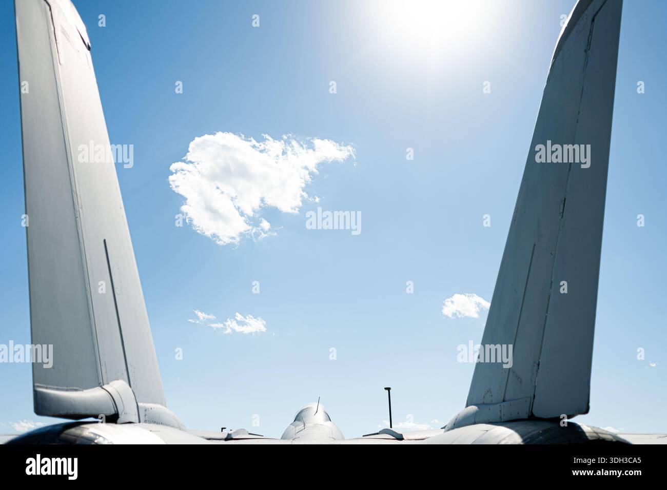 A Grumman F-14 Tomcat on static display in Minnesota Stock Photo - Alamy
