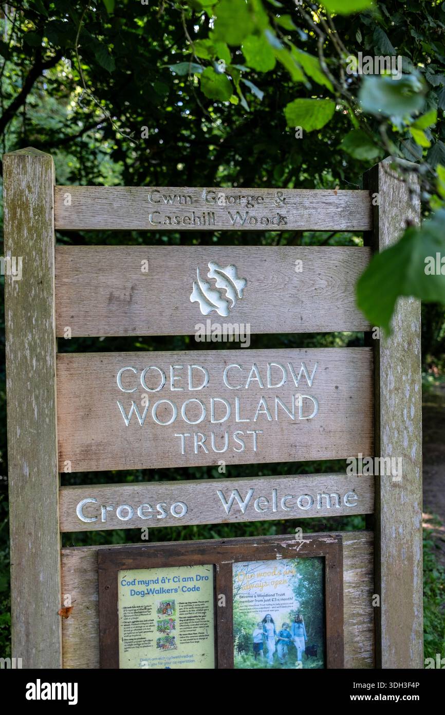 Woodland Trust Cwm George and  Casehill Woods in the countryside around Dinas Powis Glamorgan South Wales UK Stock Photo