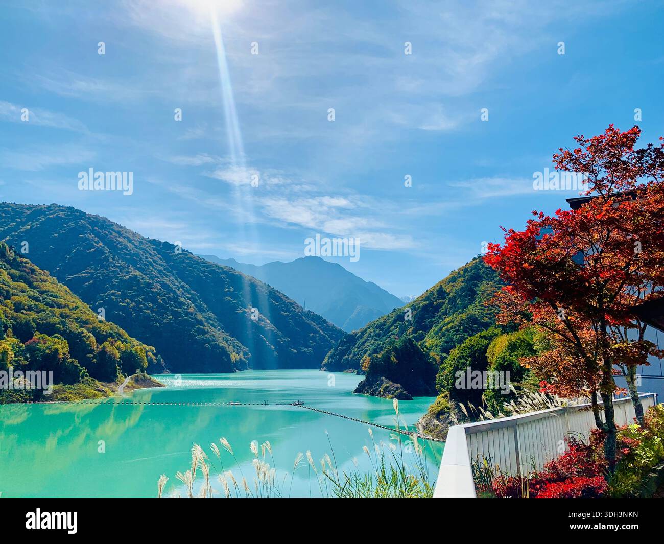 Emerald waters of Takase Dam in Nagano, Japan, reflecting the vibrant autumn foliage and majestic mountain landscape - Smartphone Captured Stock Image