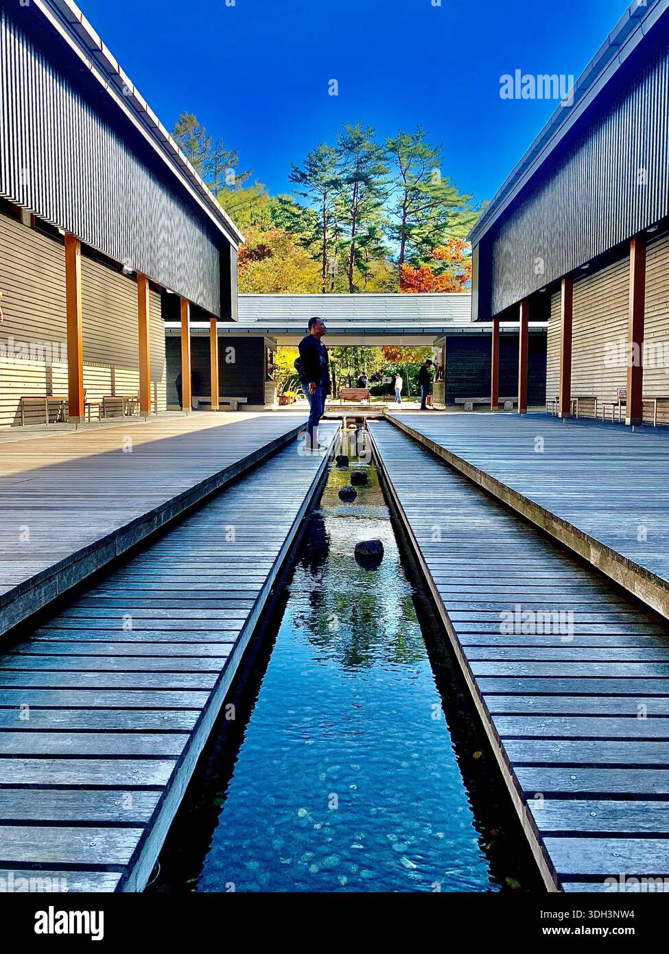 Autumn serenity at Harunire Terrace, a peaceful escape in Tombo, Karuizawa, Nagano, Japan - Smartphone Captured Stock Image