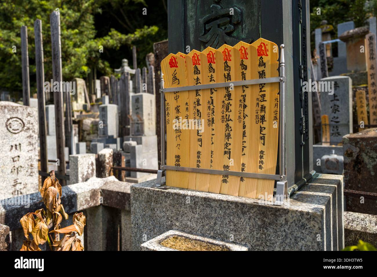 Kyoto, Japan - October 16, 2023: Multiple wooden memorial tablets with Japanese inscriptions are placed in front of a gravestone at the cemetery of Chion-in Temple, surrounded by numerous other gravestones and greenery. Stock Photo