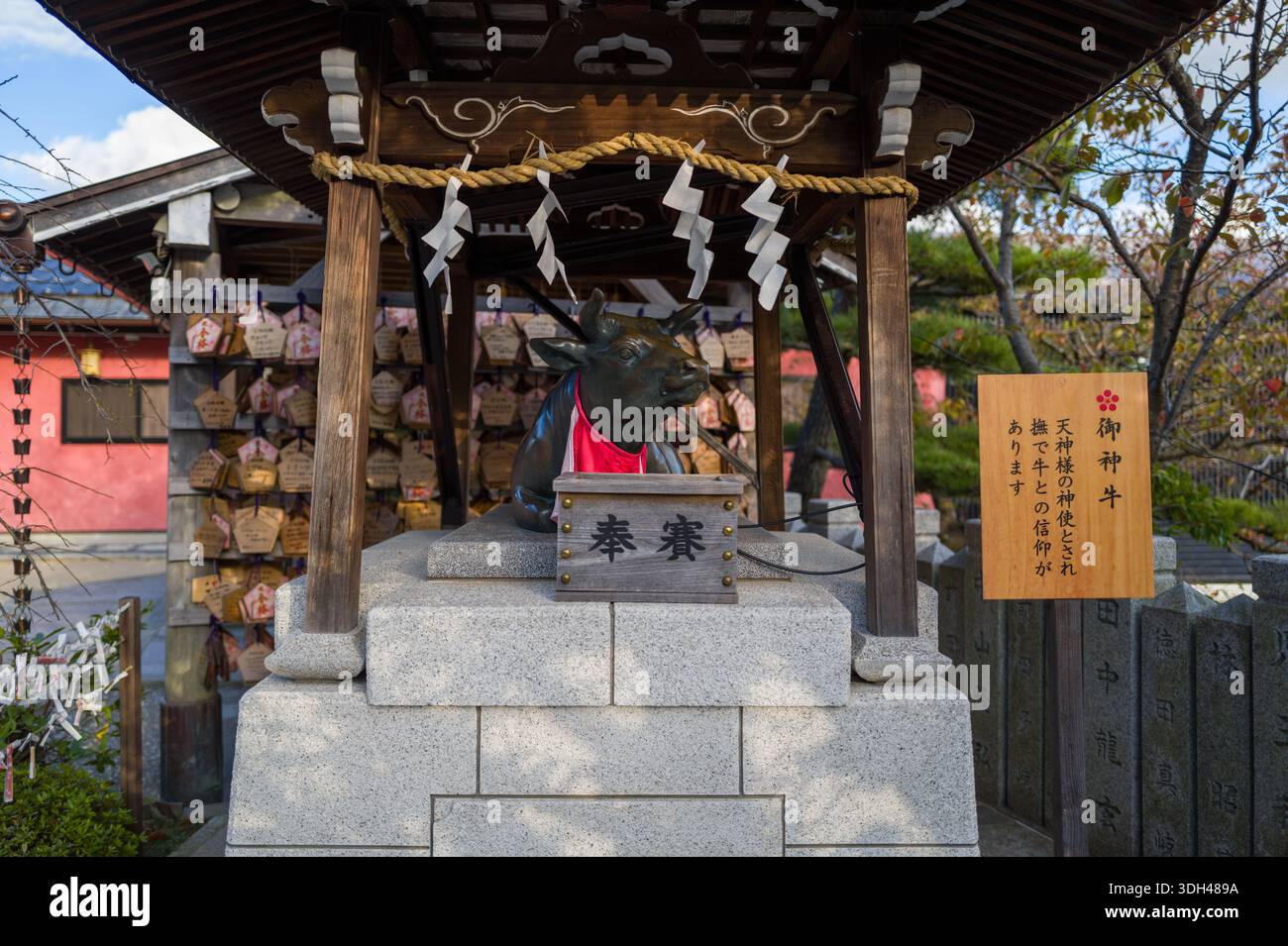 Hakuryu hi-res stock photography and images - Alamy