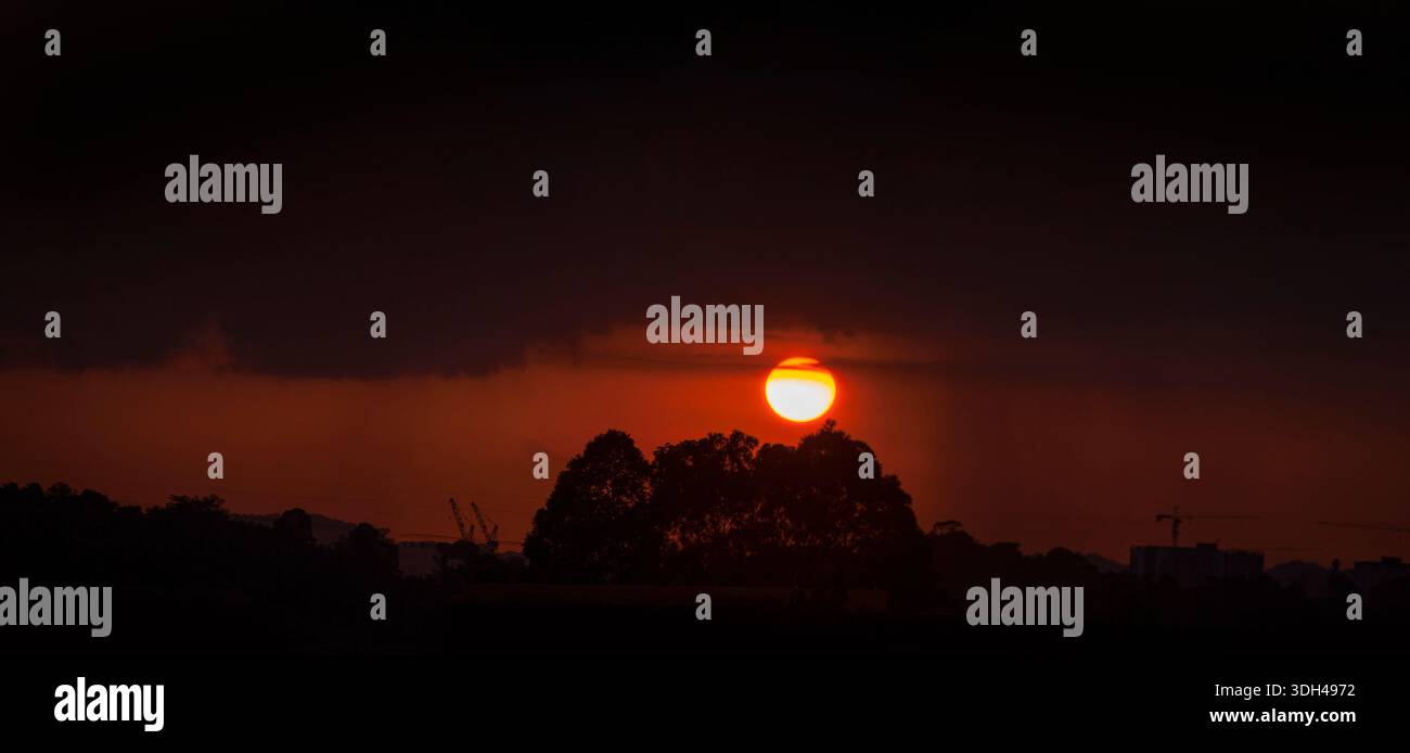 Sunset, low sun disc over trees near horizon Stock Photo