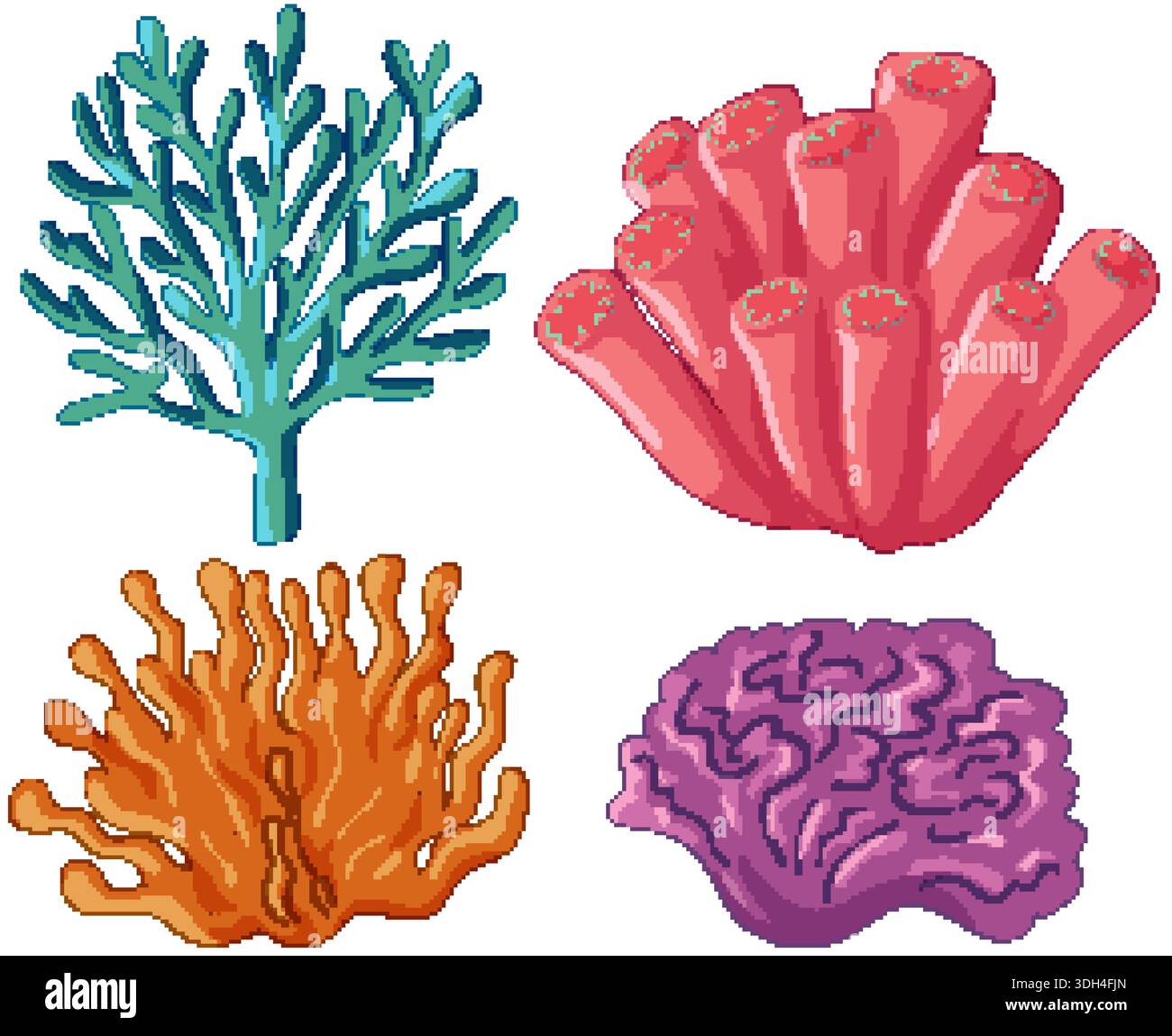 Types of coral Stock Vector Images - Alamy