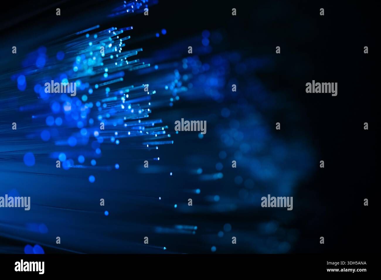 Blue fiber optic strands create a stunning abstract pattern against a dark background. Stock Photo