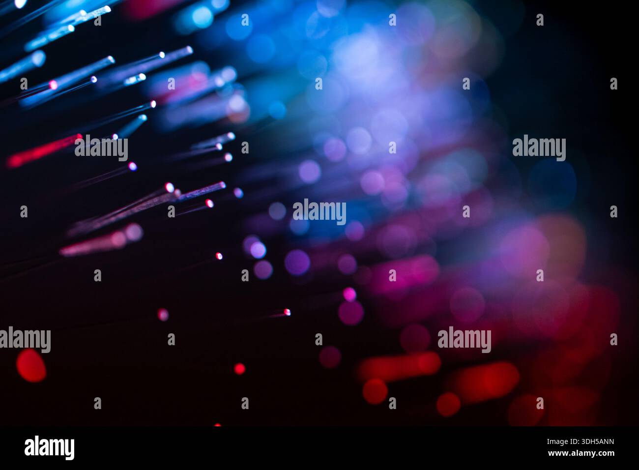 Abstract image featuring colorful fiber optic lights in red, blue, and purple. The vibrant bokeh effect on a dark background creates a captivating vis Stock Photo