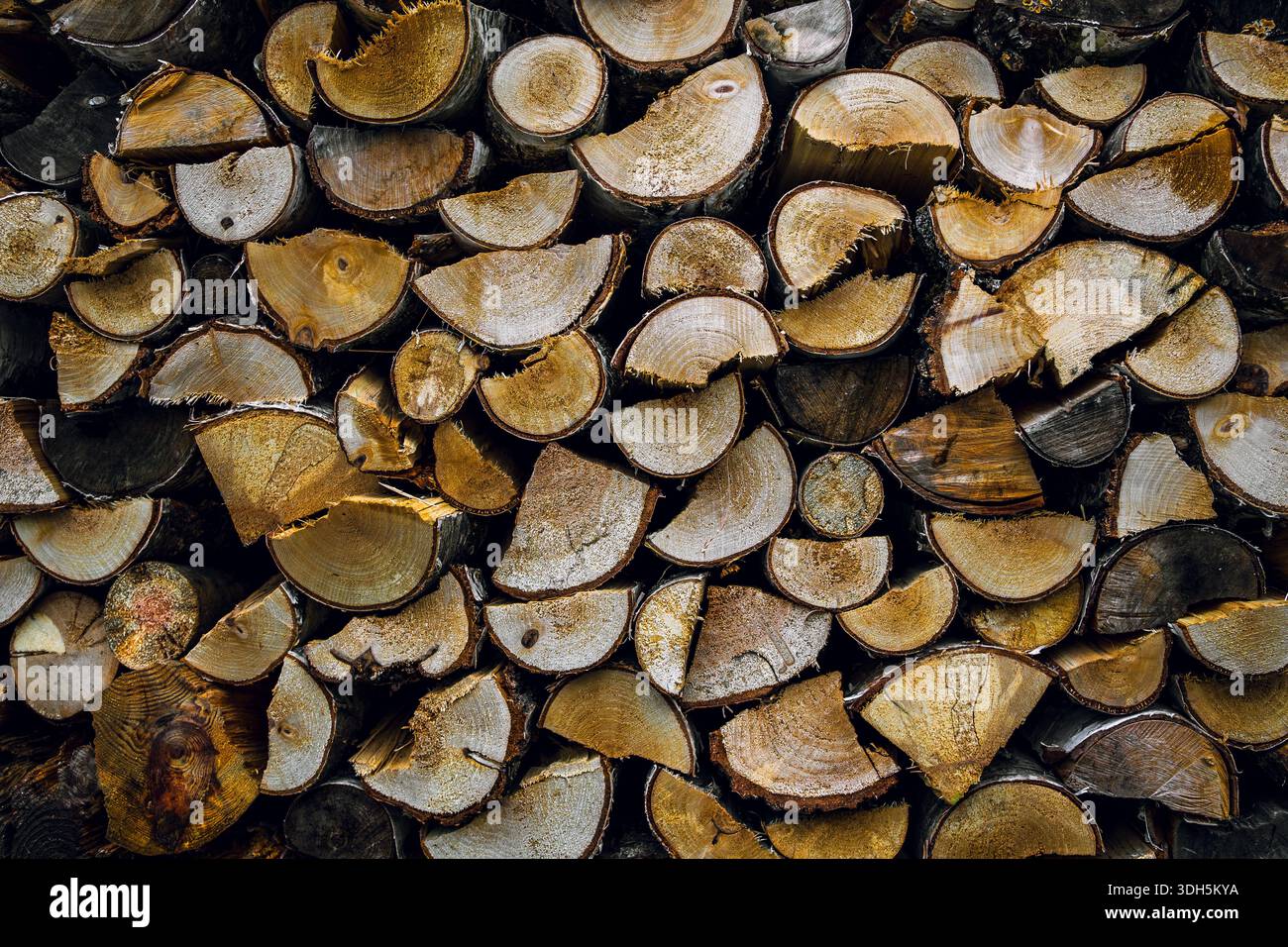 Stacked Cut Firewood Logs Showing Natural Wood Grain Texture Stock ...