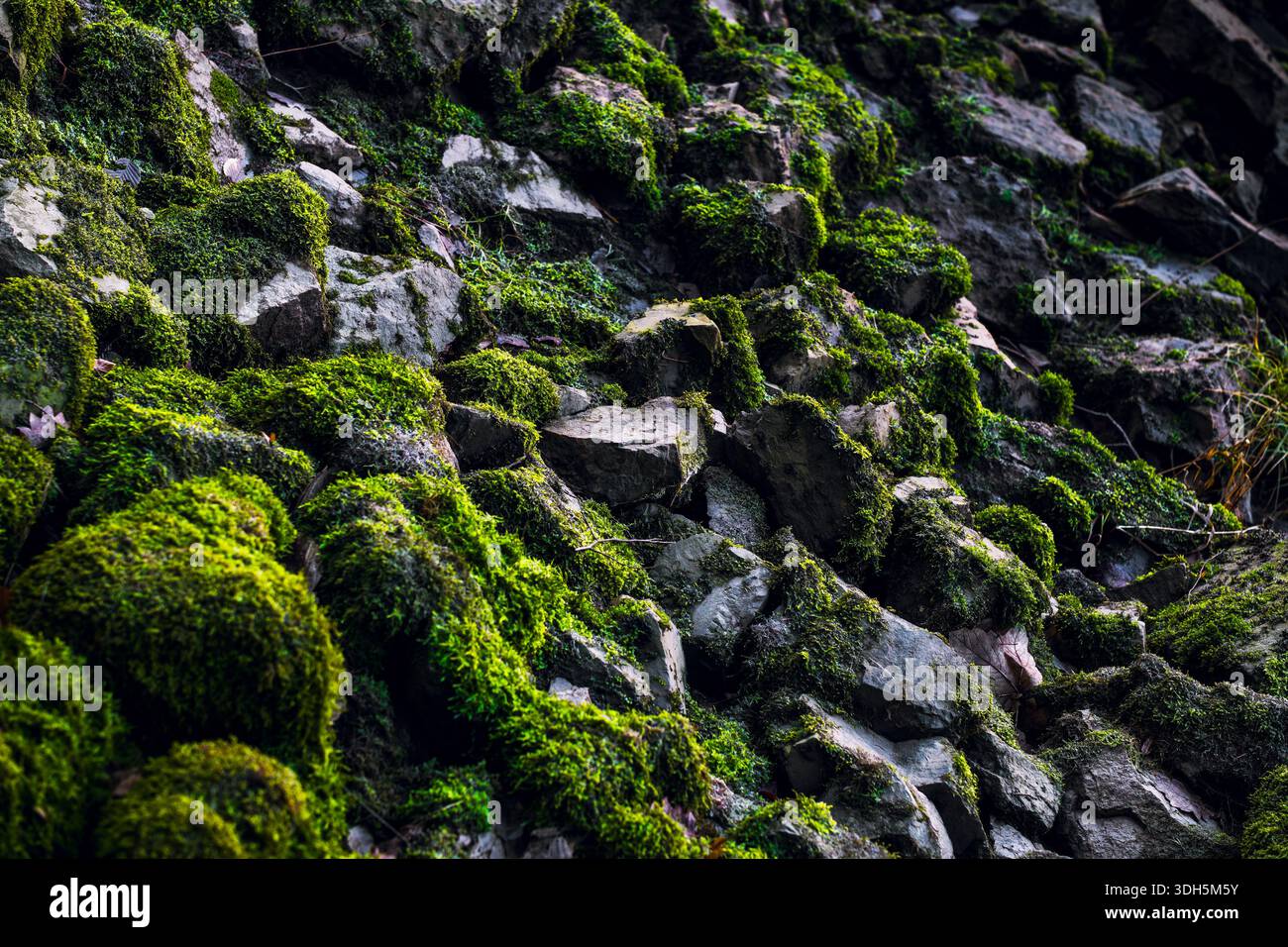 Rock Wall Texture with Moss and Natural Weathered Stone Surface Stock Photo
