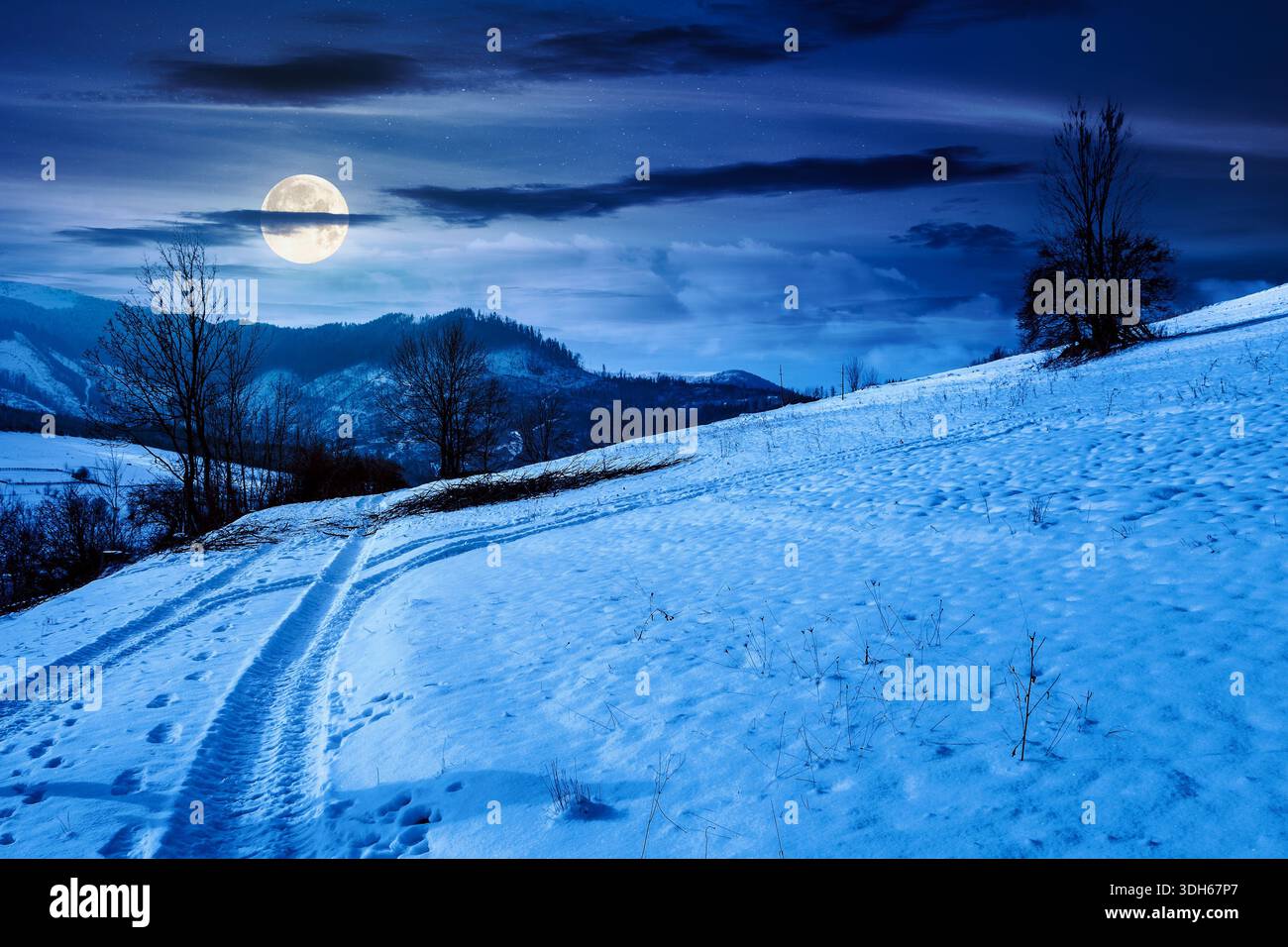 winter landscape with snow covered forested hills at night. mountains in cold weather in full moon light. rural scene. christmas holidays in alpine re Stock Photo