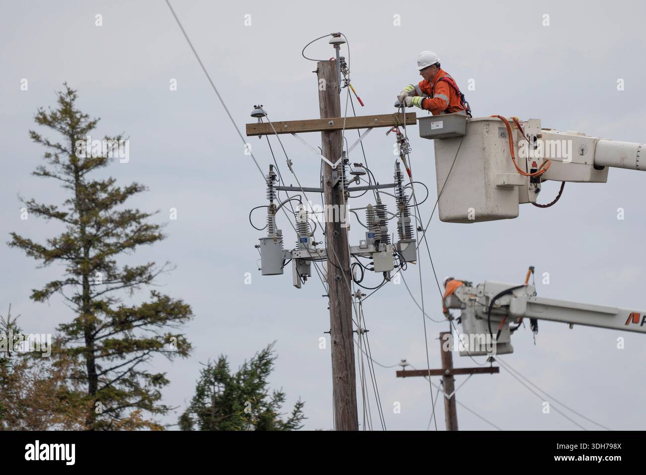 Power crews work to fix power lines near Lower Barneys River in Pictou ...