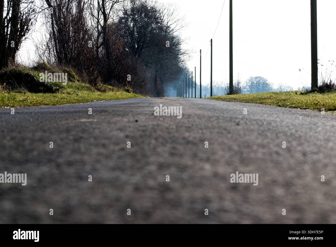 A country road leading straight ahead on a cold winter day Stock Photo