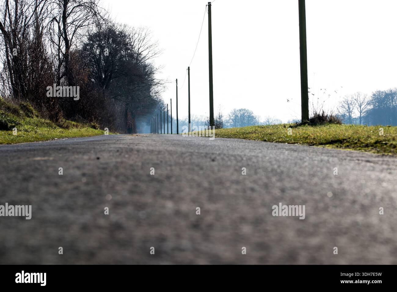 A country road leading straight ahead on a cold winter day Stock Photo